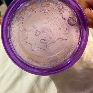 Disneyland frosted mug